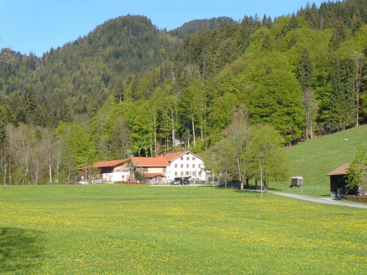Günstig übernachten: 4 Budget-Hotels nahe Ruine Falkenstein